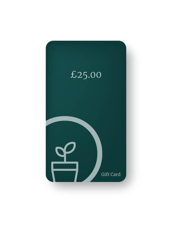 Soto Gift Card
